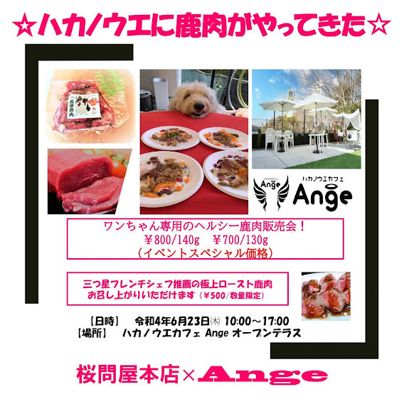 ハカノウエに鹿肉がやってきった！ ～コラボイベントのお知らせ～（ジビエ）