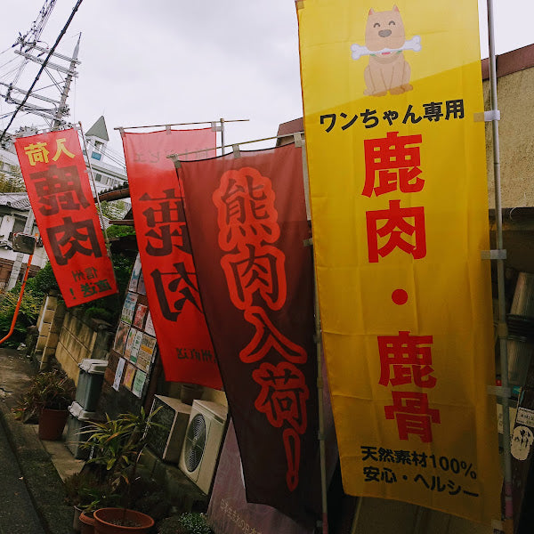 犬用鹿肉の幟が登場しました！（桜問屋本店 Produced by Sakura-Ju）